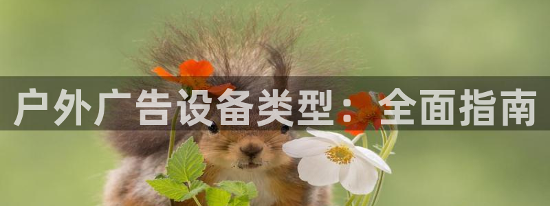 杏宇平台登陆：户外广告设备类型：全面指南
