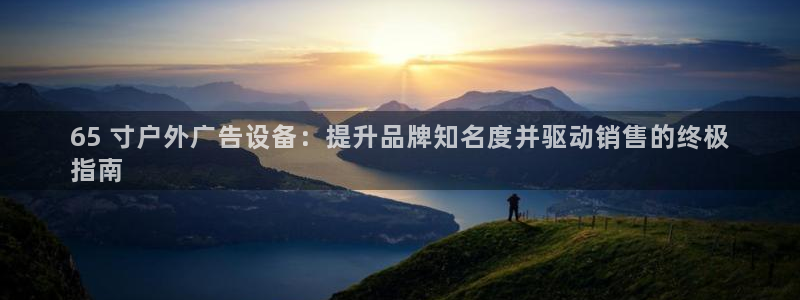 杏宇平台登陆：65 寸户外广告设备：提升品牌知名度并驱动销售的终极
指南