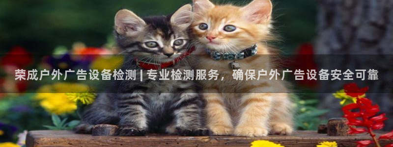 杏宇平台代理怎么赚钱的：荣成户外广告设备检测 | 专业检测服务，确保户外广告设备安全可靠