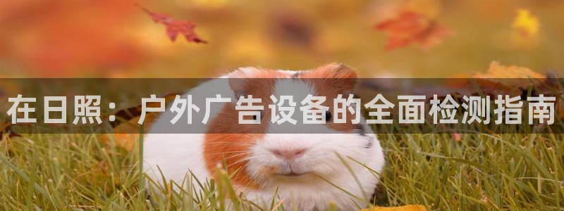 杏宇代理注册：在日照：户外广告设备的全面检测指南