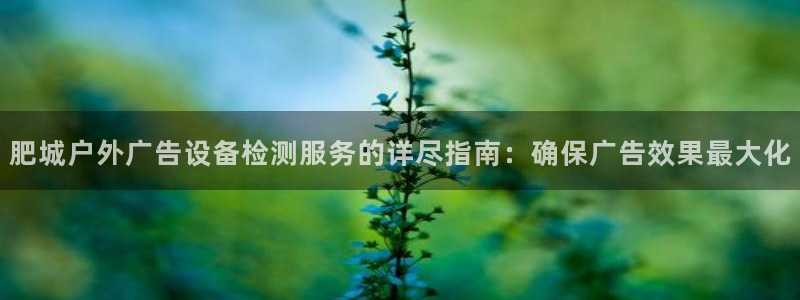 杏宇平台登陆：肥城户外广告设备检测服务的详尽指南：确保广告效果最大化