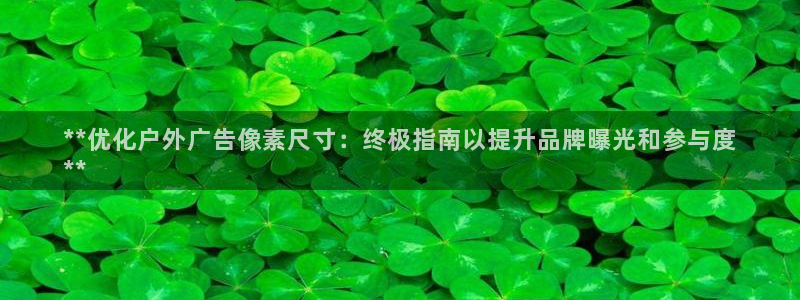 杏宇代理注册：**优化户外广告像素尺寸：终极指南以提升品牌曝光和参与度
**