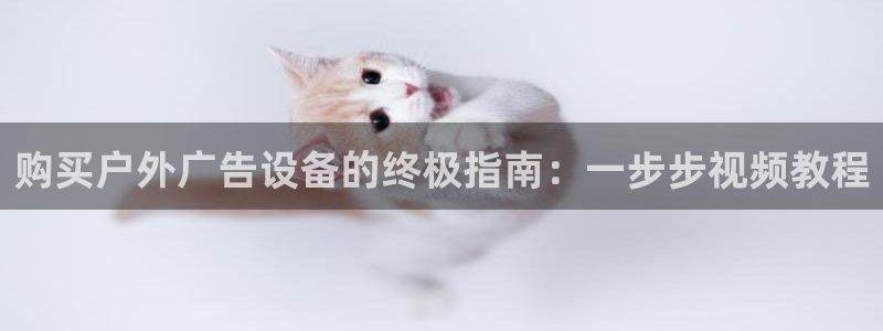 杏宇平台代理多少钱一次