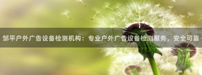 杏宇代理注册：邹平户外广告设备检测机构：专业户外广告设备检测服务，安全可靠