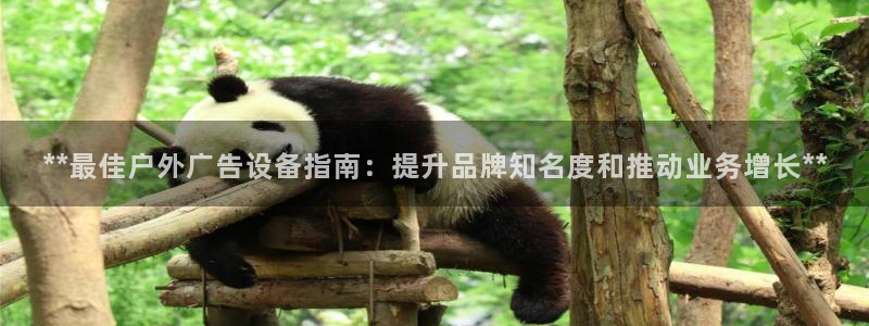 杏宇平台好吗：**最佳户外广告设备指南：提升品牌知名度和推动业务增长**