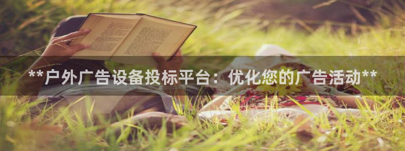 杏宇平台代理怎么样：**户外广告设备投标平台：优化您的广告活动**