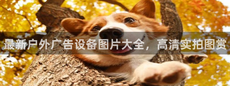 杏宇平台代理怎么赚钱快：最新户外广告设备图片大全，高清实拍图赏