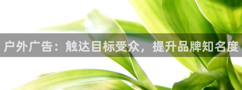 杏宇平台代理怎么样赚钱：户外广告：触达目标受众，提升品牌知名度