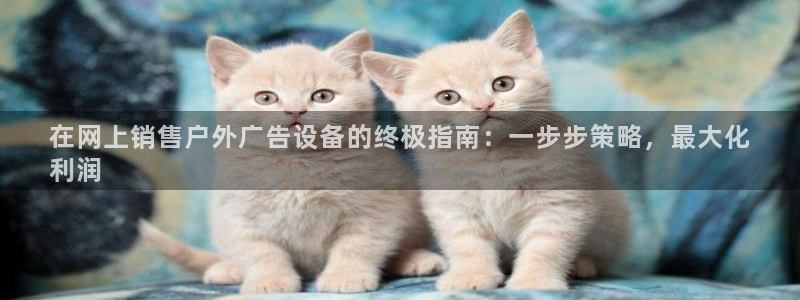 杏宇平台官网注册：在网上销售户外广告设备的终极指南：一步步策略，最大化
利润