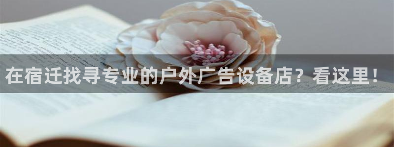 杏宇平台代理怎么样赚钱