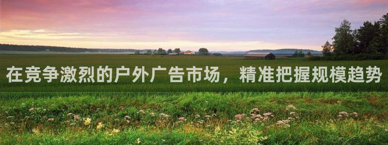 杏宇平台测速链接：在竞争激烈的户外广告市场，精准把握规模趋势