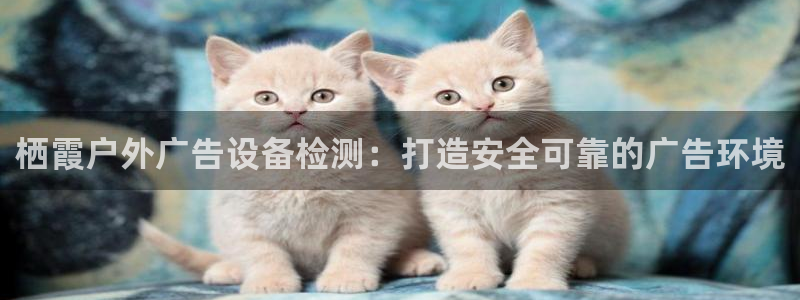 杏宇平台主管：栖霞户外广告设备检测：打造安全可靠的广告环境