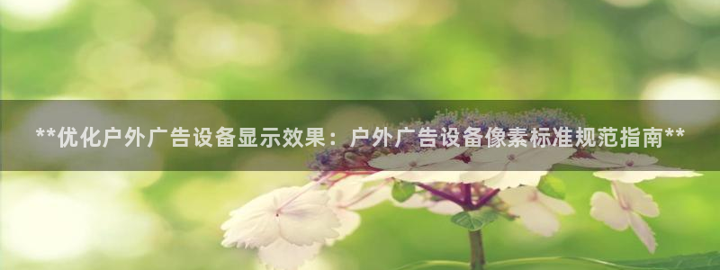 杏宇平台是什么