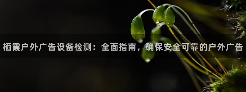 杏宇平台好吗：栖霞户外广告设备检测：全面指南，确保安全可靠的户外广告