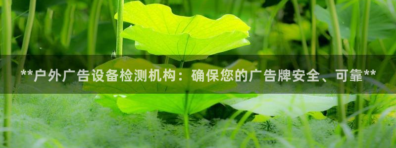 杏宇代理注册：**户外广告设备检测机构：确保您的广告牌安全、可靠**