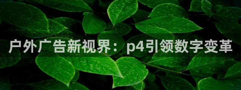 杏宇平台代理怎么样啊：户外广告新视界：p4引领数字变革