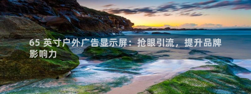 杏宇平台登录方法：65 英寸户外广告显示屏：抢眼引流，提升品牌
影响力