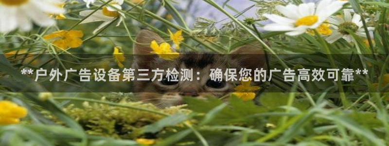 杏宇平台登录步骤：**户外广告设备第三方检测：确保您的广告高效可靠**