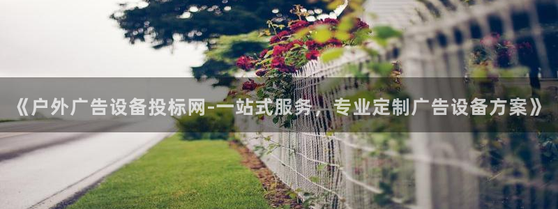 杏宇平台代理怎么赚钱：《户外广告设备投标网-一站式服务，专业定制广告设备方案》