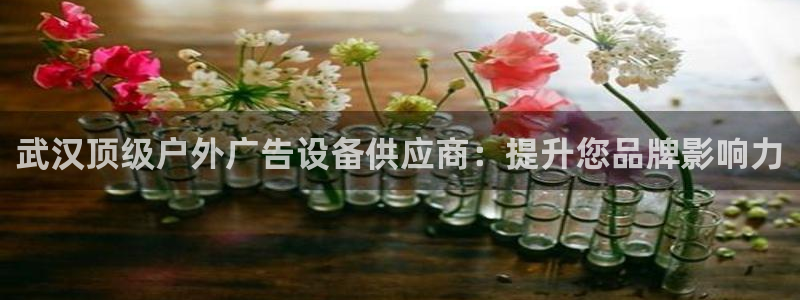 杏宇平台代理怎么样赚钱：武汉顶级户外广告设备供应商：提升您品牌影响力