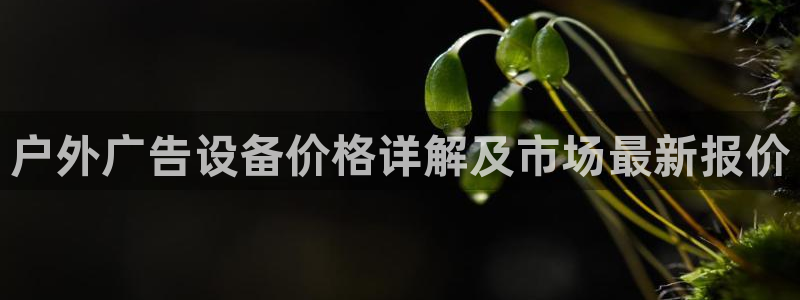 杏宇官方平台官网：户外广告设备价格详解及市场最新报价