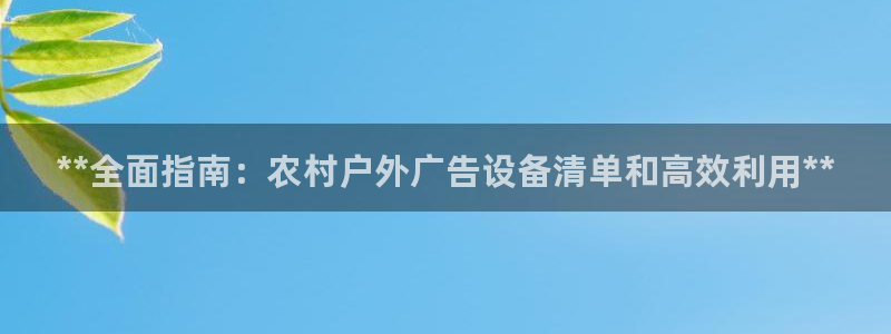 杏宇平台总代理电话：**全面指南：农村户