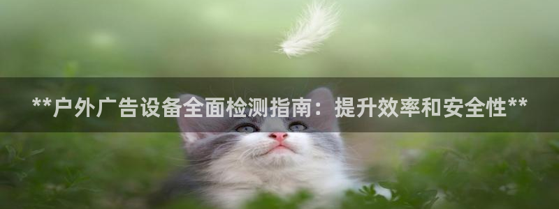 杏宇平台代理多少钱：**户外广告设备全面检测指南：提升效率和安全性**