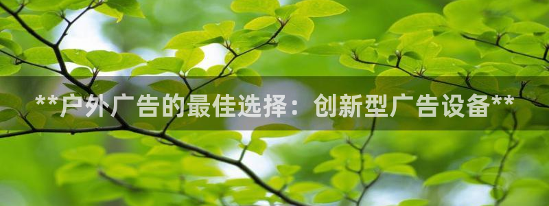 杏宇平台代理：**户外广告的最佳选择：创