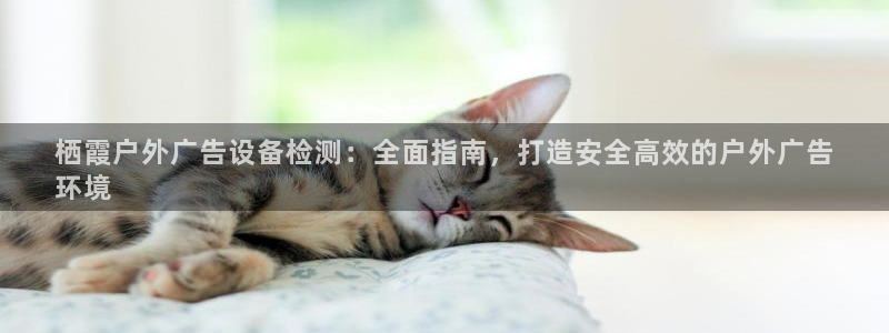 杏宇官方平台官网：栖霞户外广告设备检测：
